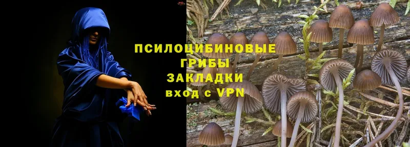 как найти закладки  Лысьва  blacksprut ссылка  Псилоцибиновые грибы Magic Shrooms 